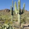 tempe_azfamily